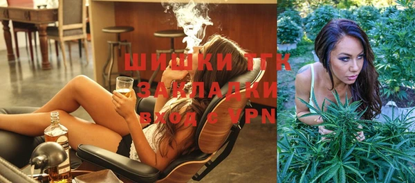 гидра Нея