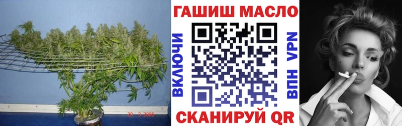 купить   Братск  Дистиллят ТГК концентрат 