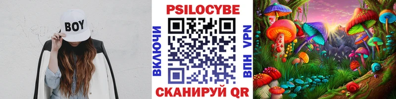 как найти   Братск  Псилоцибиновые грибы ЛСД 